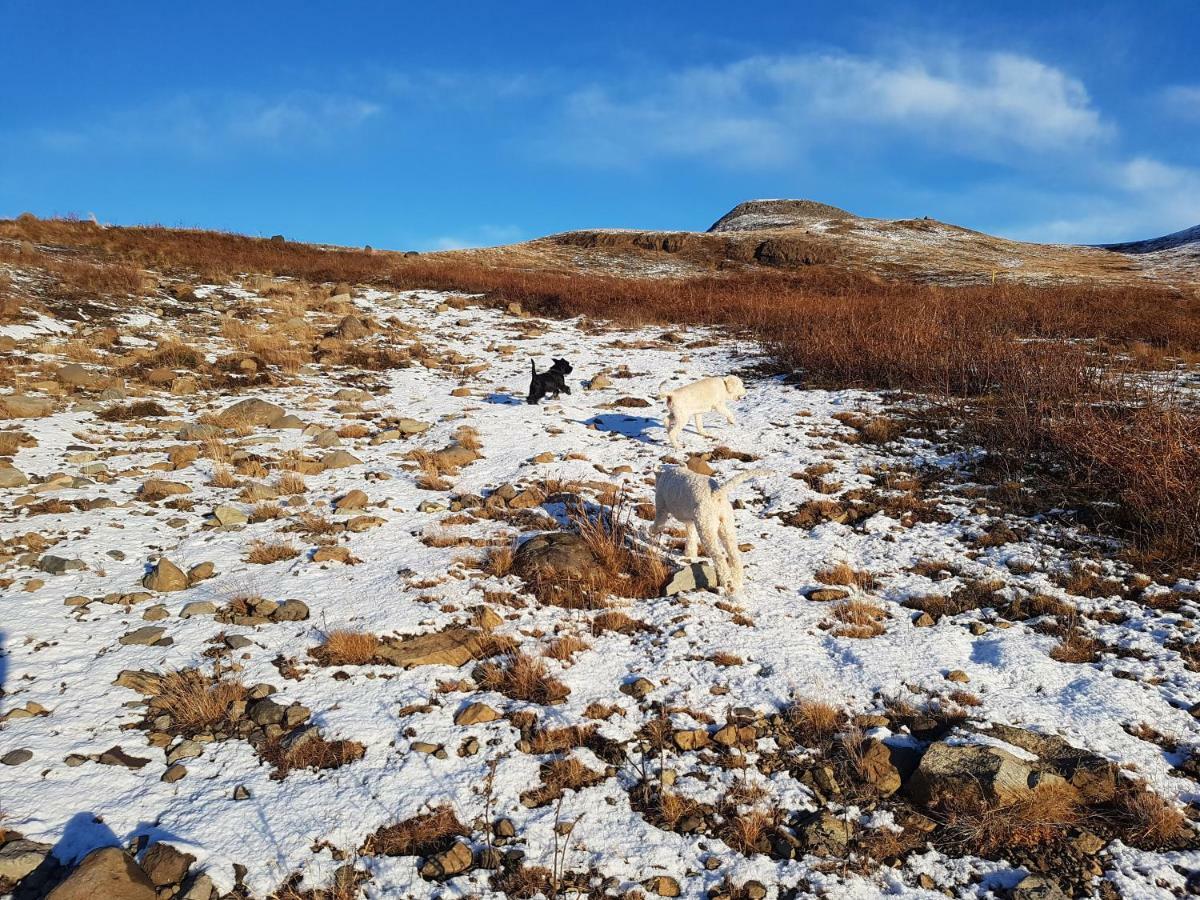 Akurholt Guesthouse Reykjavík Exteriér fotografie