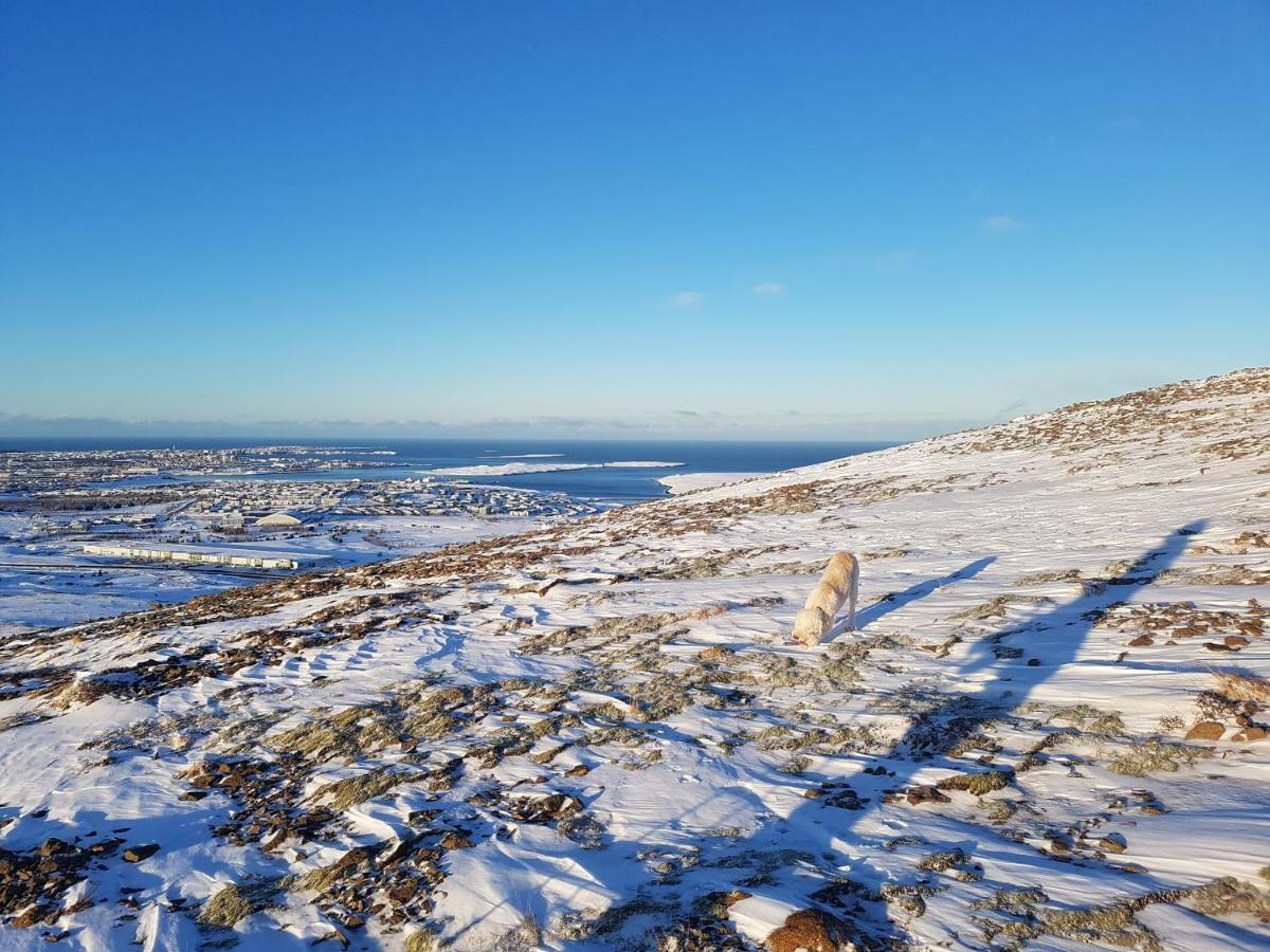 Akurholt Guesthouse Reykjavík Exteriér fotografie